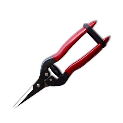 खरीदें SINSEUNG X3 हार्डवेयर कैंची ब्लेड टिप्स पर क्षारीय काले रंग कोटिंग के साथ ऑनलाइन निर्माण