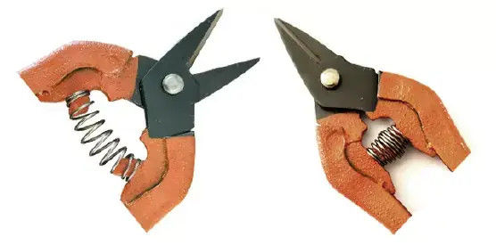 नाम
