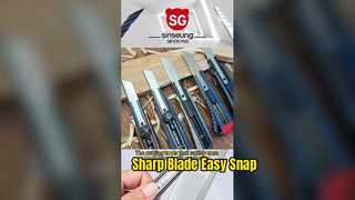 260114-1 सिनसुंग वीडियो